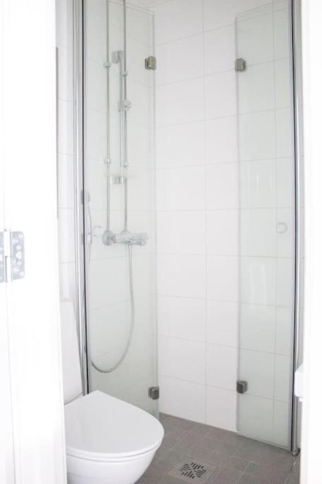 Floor Studio-apartment In Kruununhaka Leilighet Helsingfors